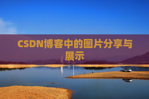 CSDN博客中的图片分享与展示